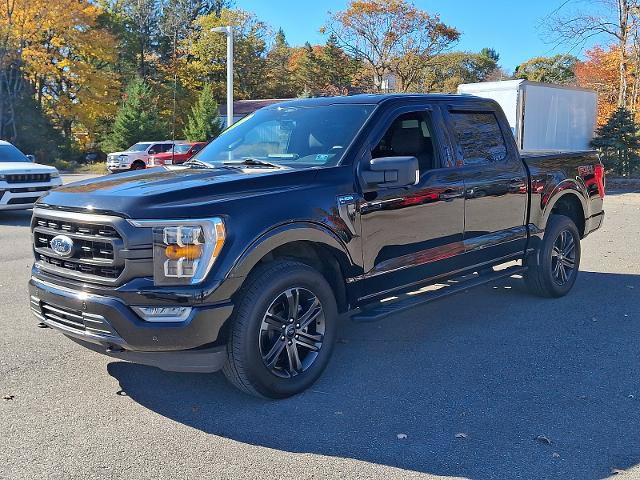 Certified 2021 Ford F150 XLT w/ Equipment Group 302A High AWD/4WD image 3