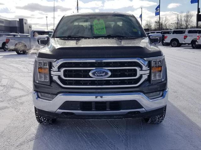 Certified 2022 Ford F150 XLT w/ Equipment Group 302A High image 8