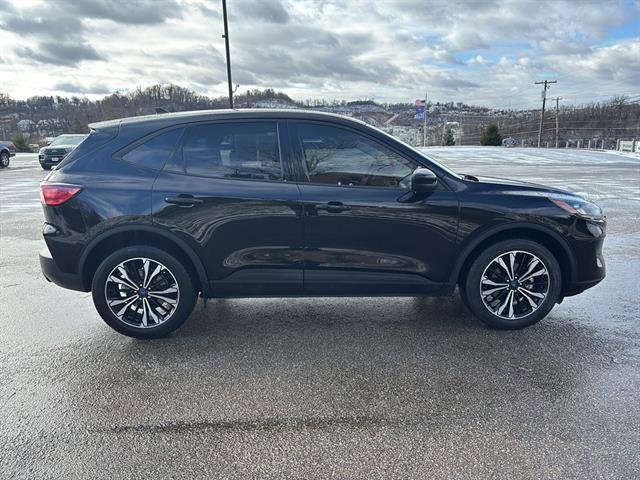 Certified 2022 Ford Escape SEL w/ SEL Stealth AWD Package image 6