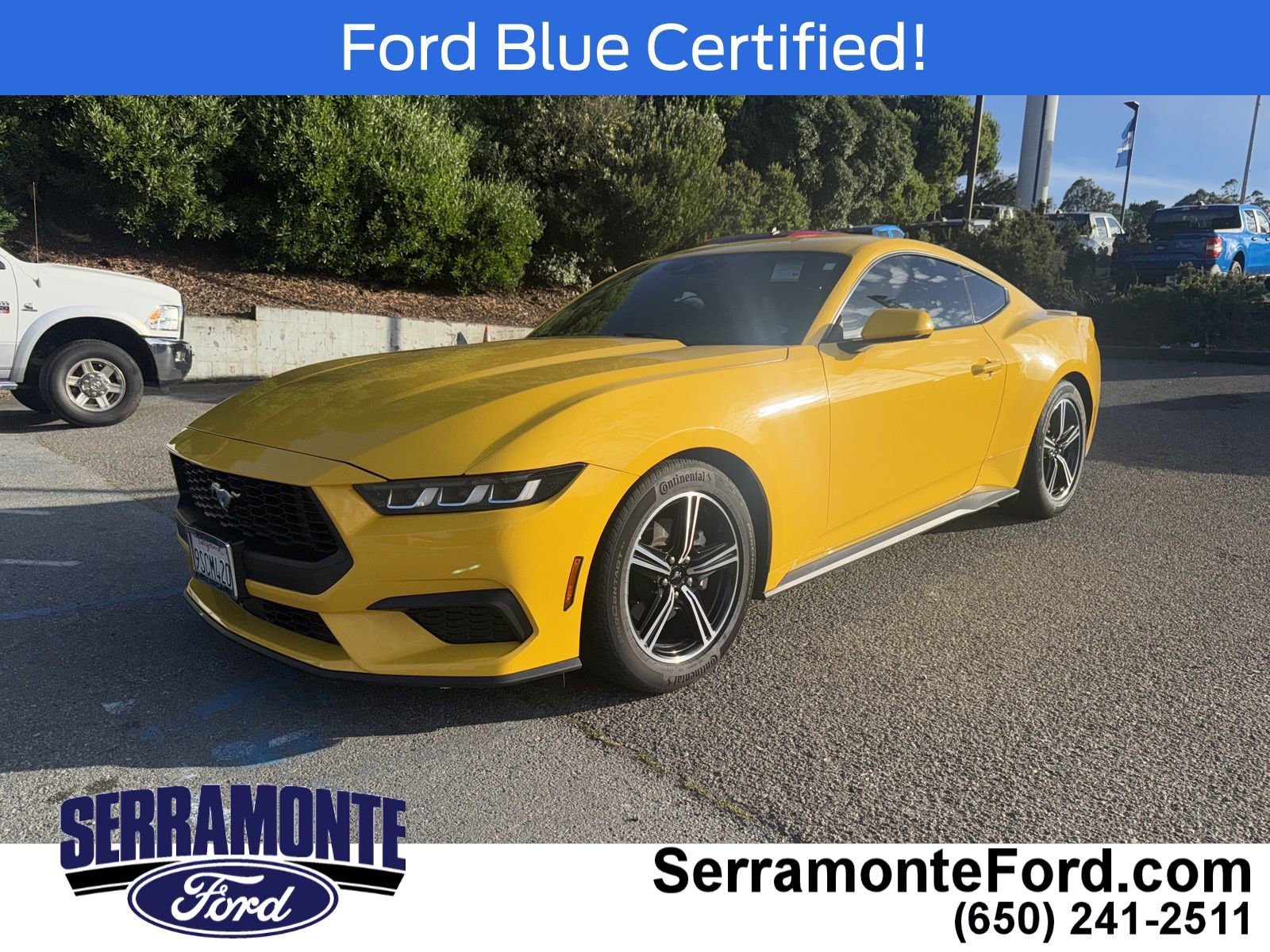 Certified 2024 Ford Mustang Premium image 3