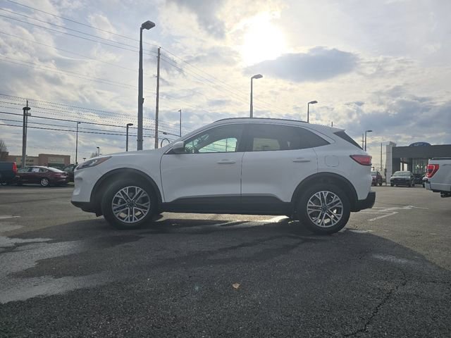 Certified 2022 Ford Escape SEL image 2