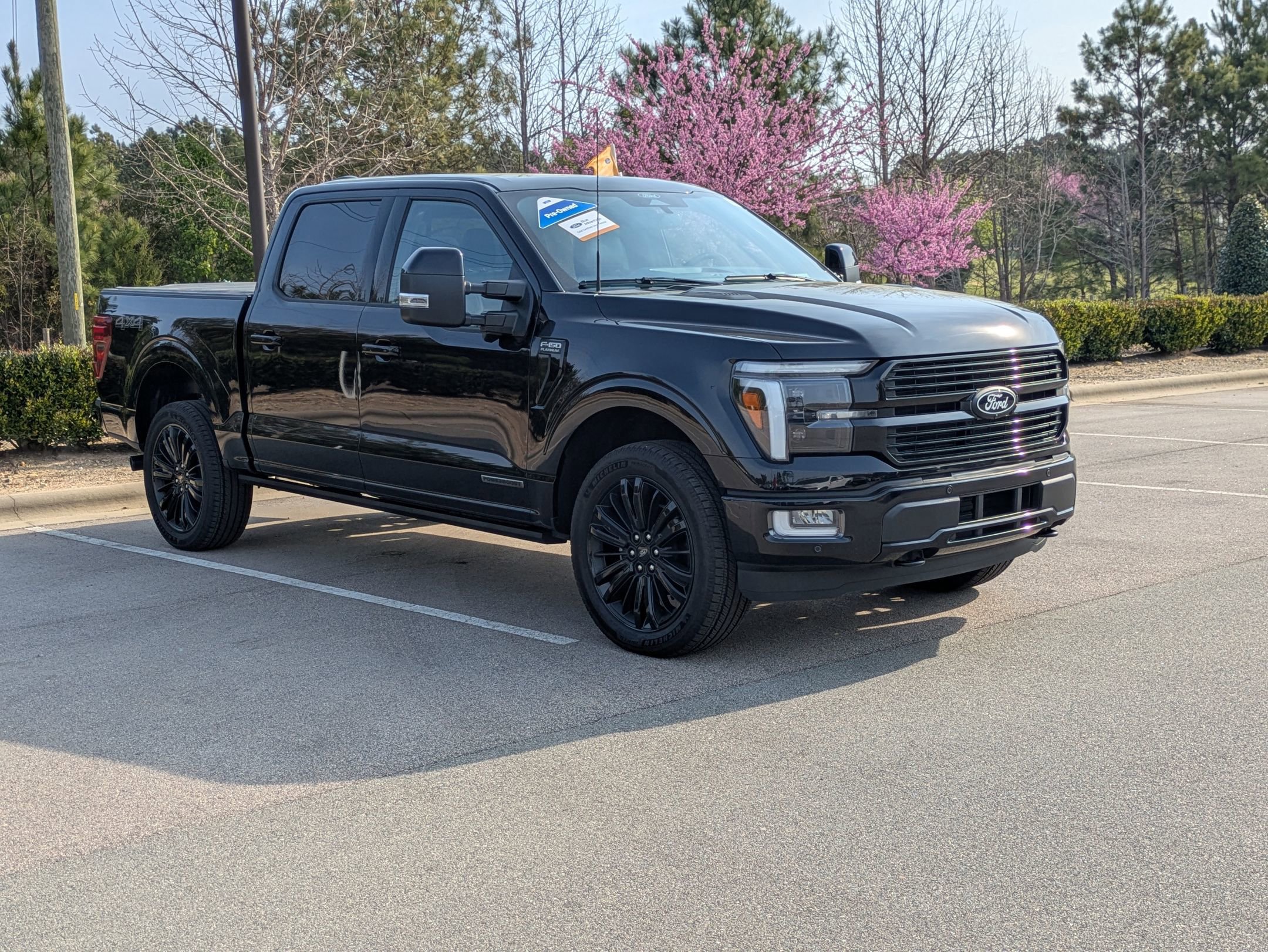 Certified 2025 Ford F150 Platinum w/ Equipment Group 702A High image 12