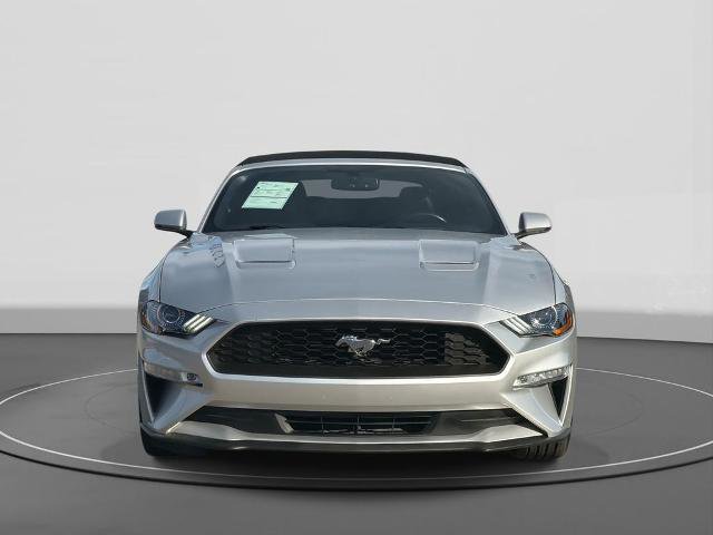 Certified 2019 Ford Mustang Premium image 6
