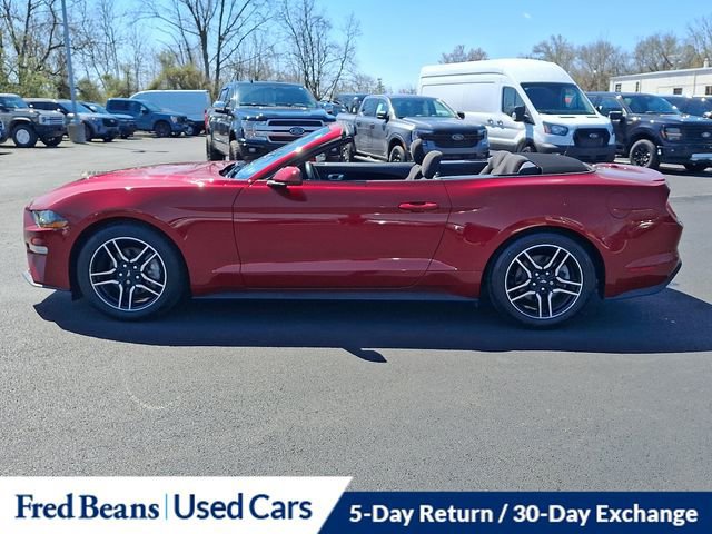 Certified 2019 Ford Mustang Convertible w/ Equipment Group 101A image 3