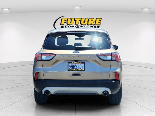 Certified 2020 Ford Escape SE AWD/4WD image 5