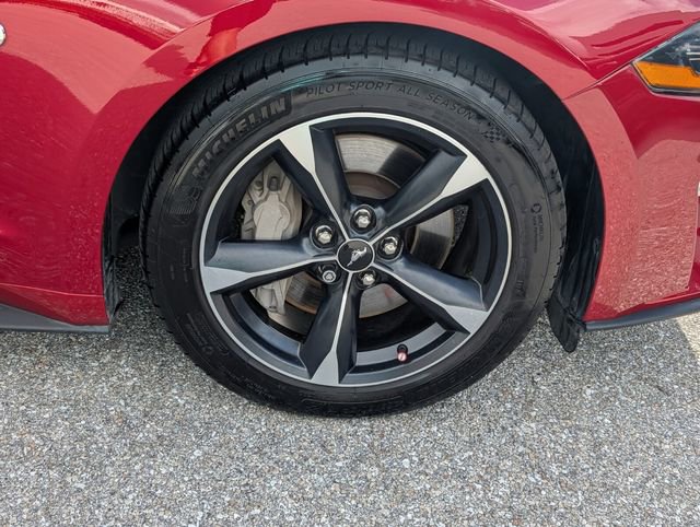 Certified 2020 Ford Mustang GT w/ Enhanced Security Package RWD image 14