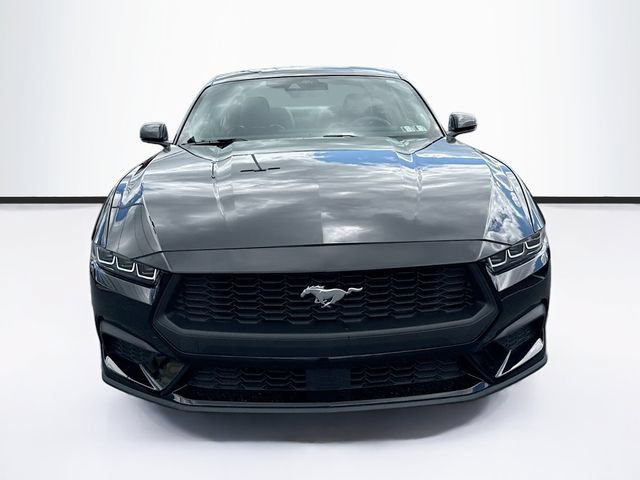 Certified 2024 Ford Mustang Premium RWD image 2