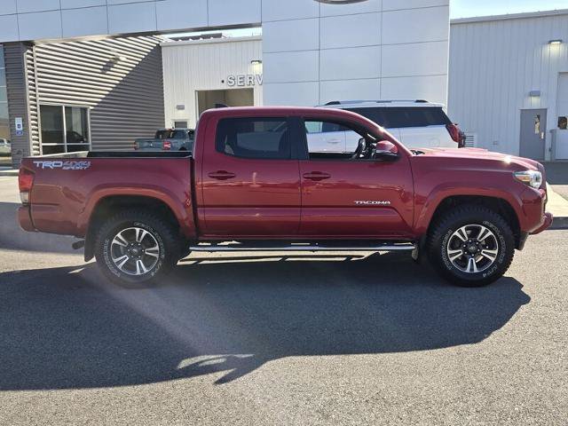 Used 2017 Toyota Tacoma TRD Sport AWD/4WD image 4