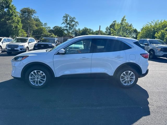 Certified 2020 Ford Escape SE AWD/4WD image 5