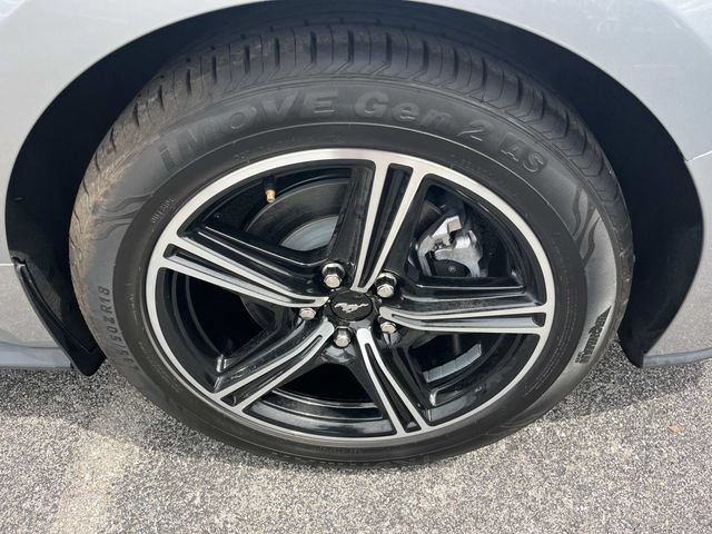 Certified 2024 Ford Mustang Premium RWD image 14
