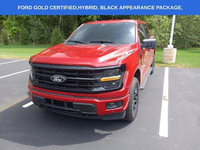 Certified 2024 Ford F150 XLT w/ Equipment Group 302A MID AWD/4WD image 4
