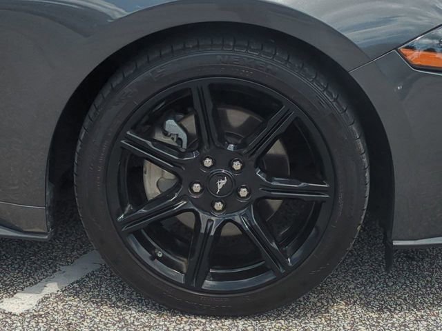 Certified 2019 Ford Mustang Coupe w/ Black Accent Package RWD image 11