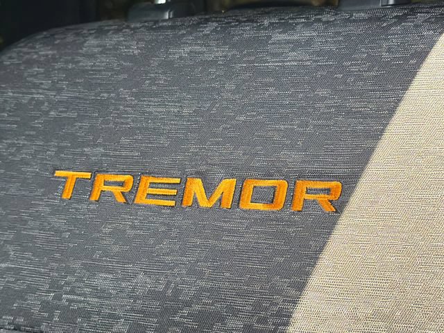 Certified 2025 Ford F150 Tremor AWD/4WD image 20
