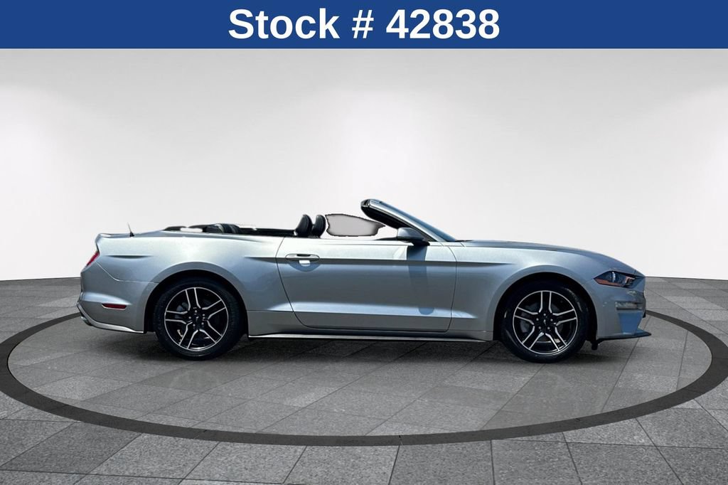 Certified 2023 Ford Mustang Premium RWD image 4