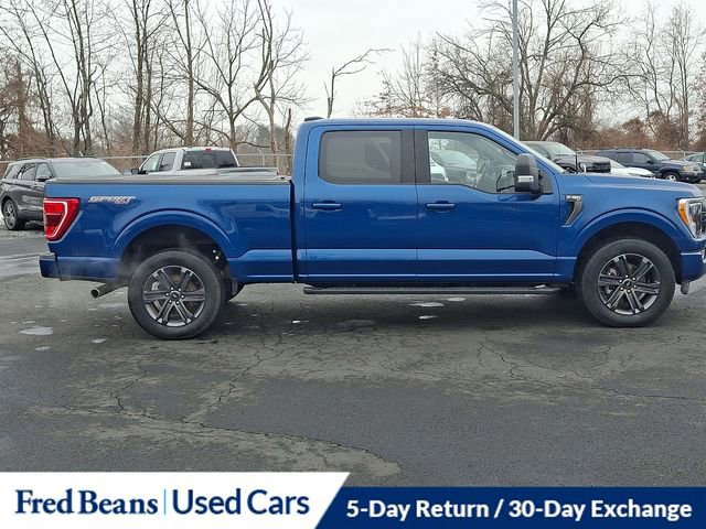 Certified 2023 Ford F150 XLT w/ Equipment Group 302A High image 9