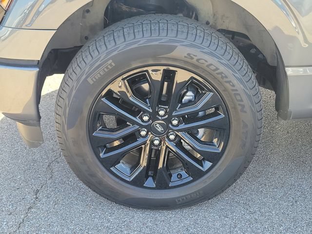 Certified 2025 Ford F150 XLT w/ Equipment Group 303A High AWD/4WD image 9