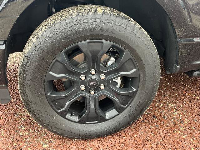 Certified 2023 Ford F150 Platinum w/ Equipment Group 701A High image 4