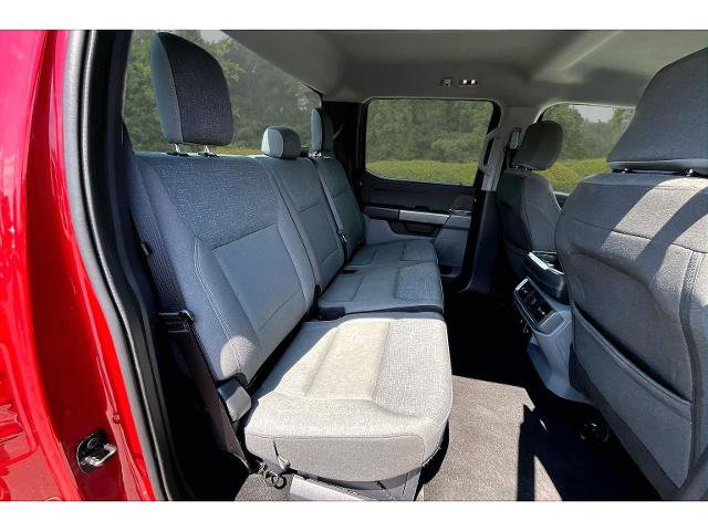 Certified 2025 Ford F150 XLT w/ Equipment Group 301A Standard AWD/4WD image 19