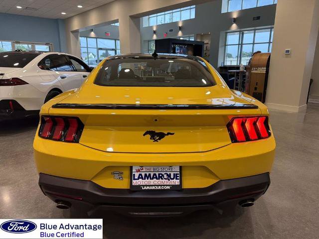 Certified 2024 Ford Mustang Coupe w/ Mustang Nite Pony Package RWD image 9