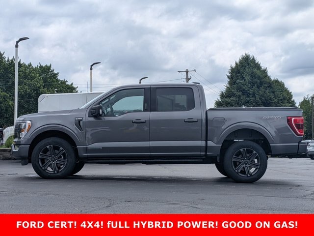 Certified 2023 Ford F150 XLT w/ Equipment Group 302A High AWD/4WD image 8