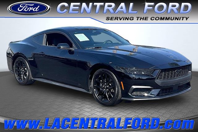 Certified 2025 Ford Mustang Coupe w/ Mustang Nite Pony Package