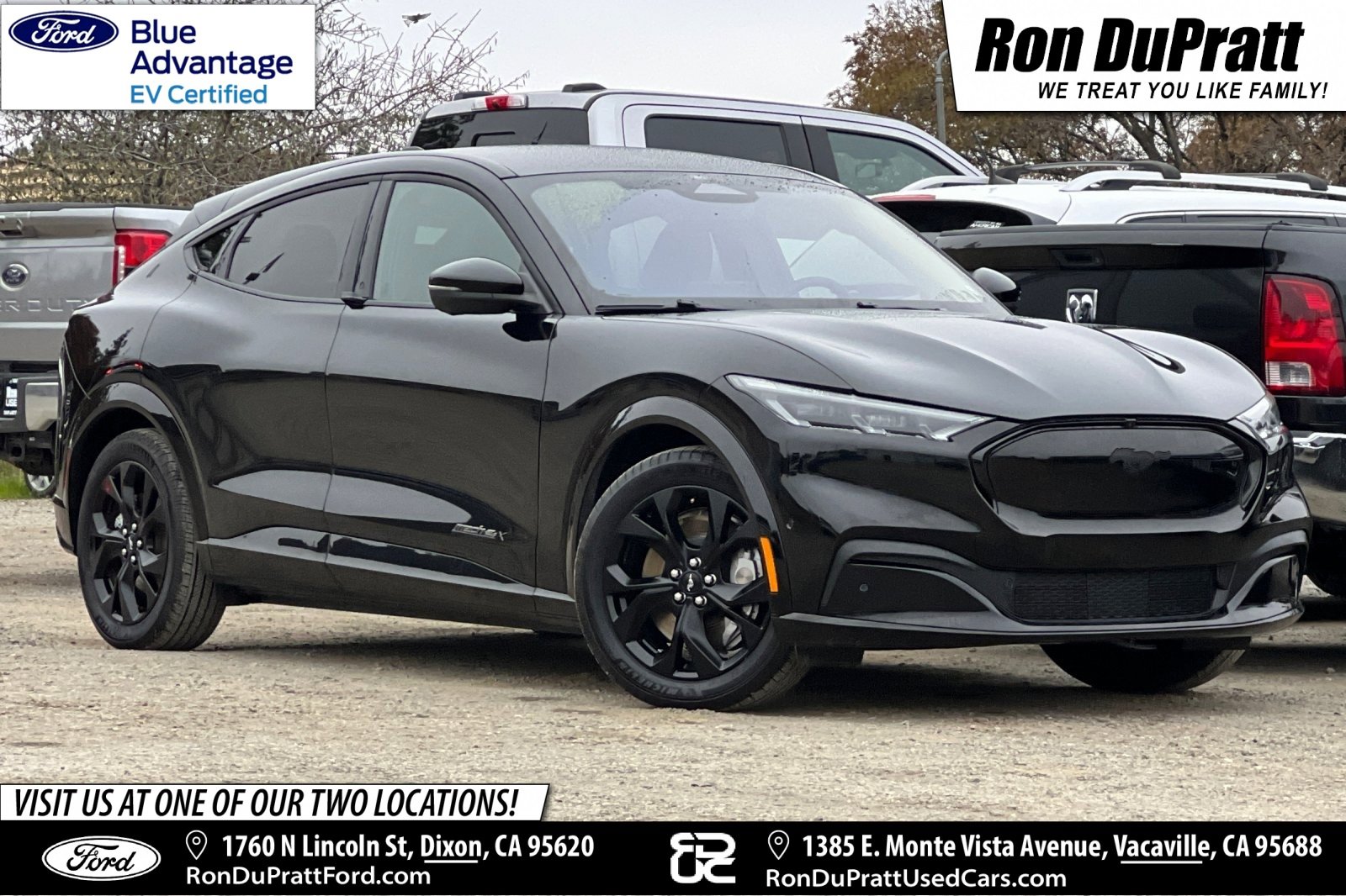 Certified 2023 Ford Mustang Mach-E Premium w/ Mustang Nite Pony Package image 1