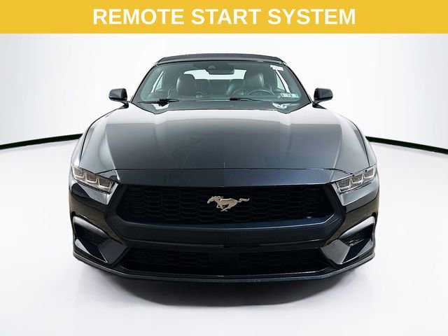 Certified 2024 Ford Mustang Premium image 11