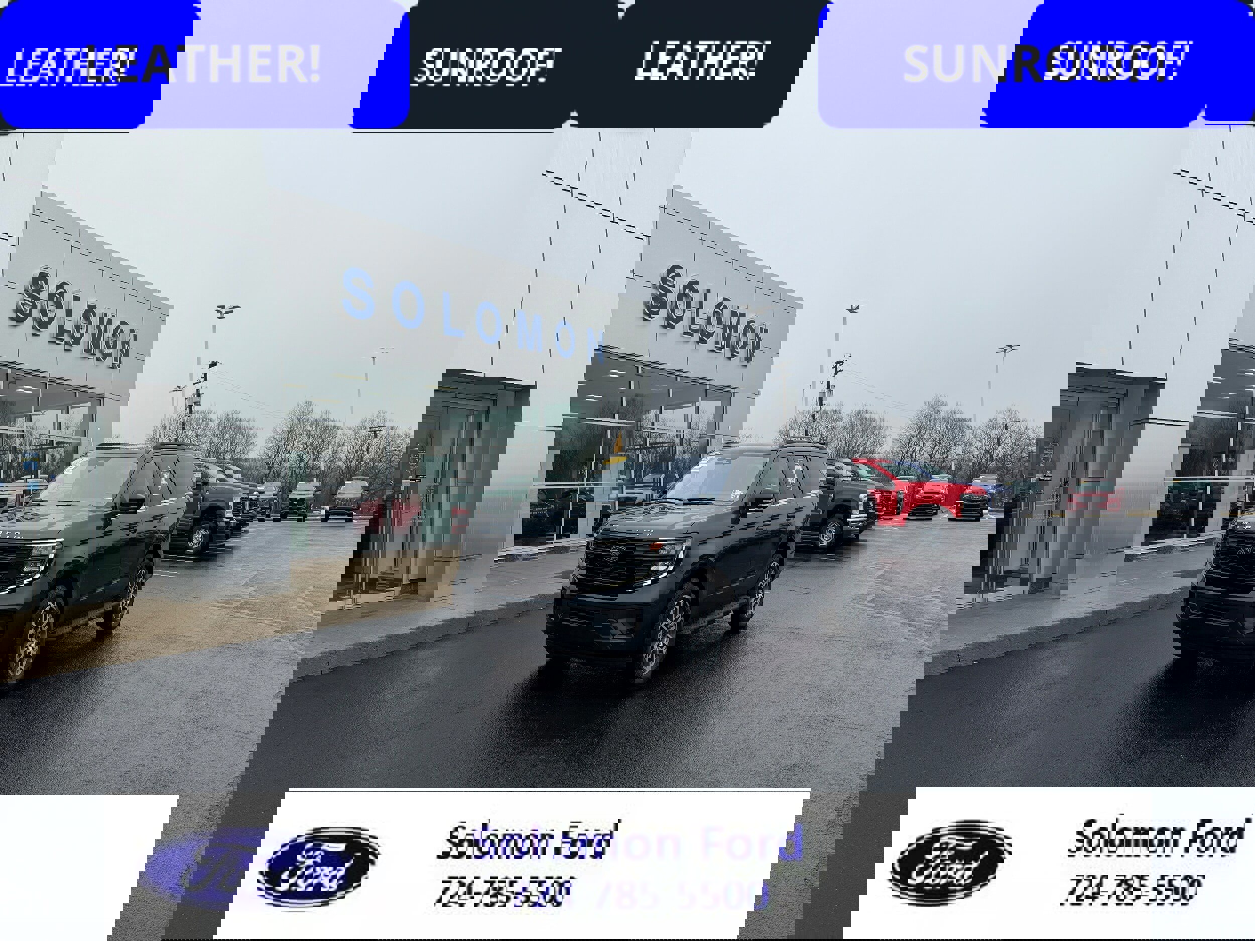 Certified 2025 Ford Expedition Active image 7