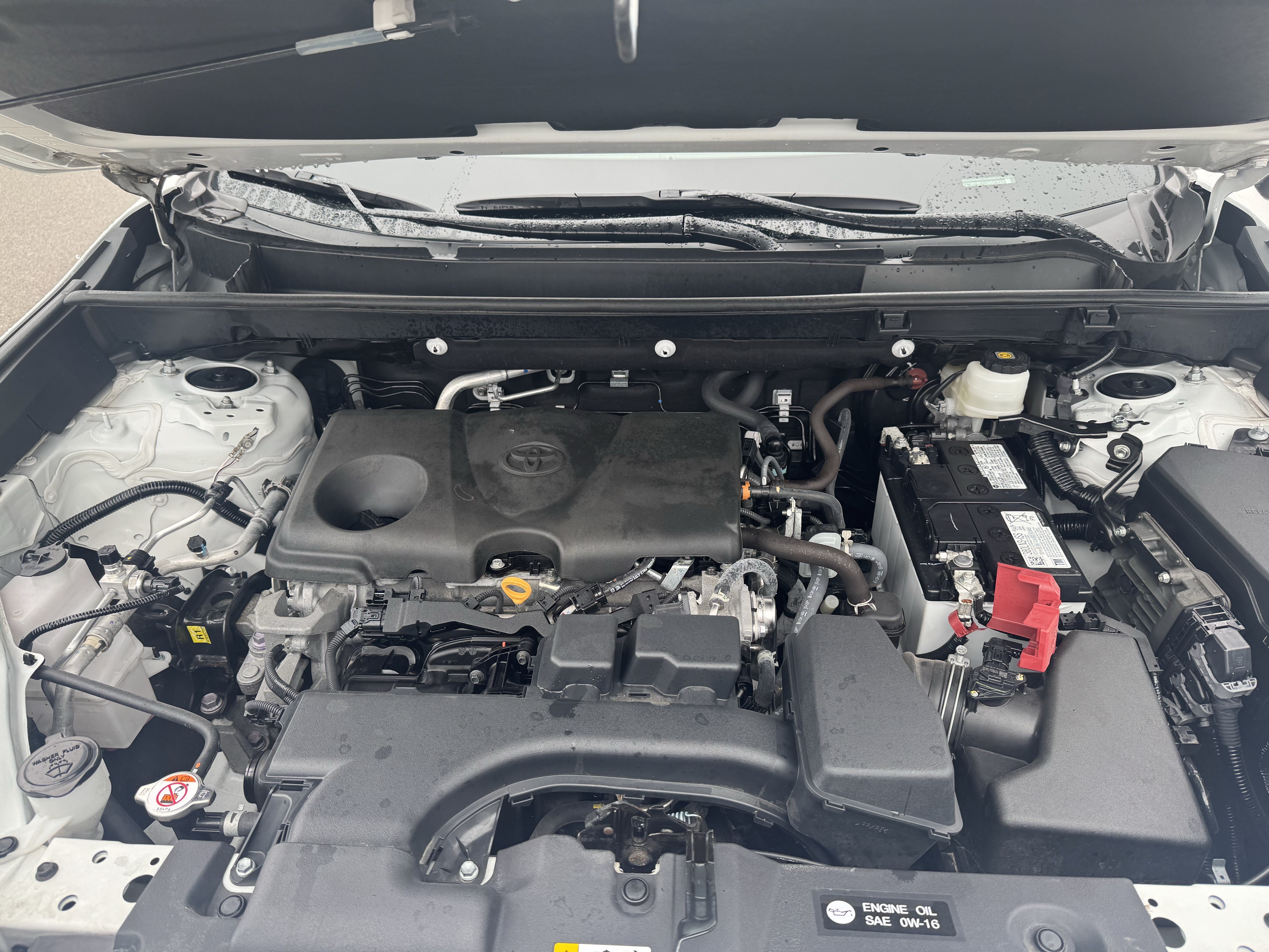 Used 2025 Toyota RAV4 XLE AWD/4WD image 11