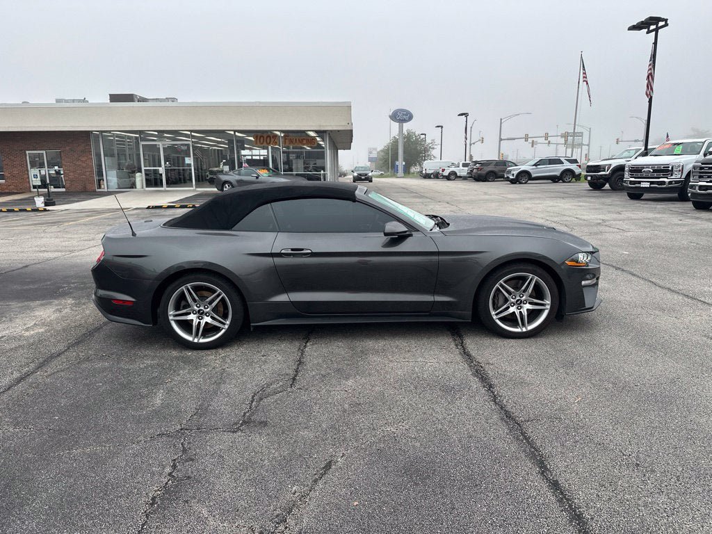 Certified 2019 Ford Mustang Convertible w/ Ecoboost Performance Package RWD image 4