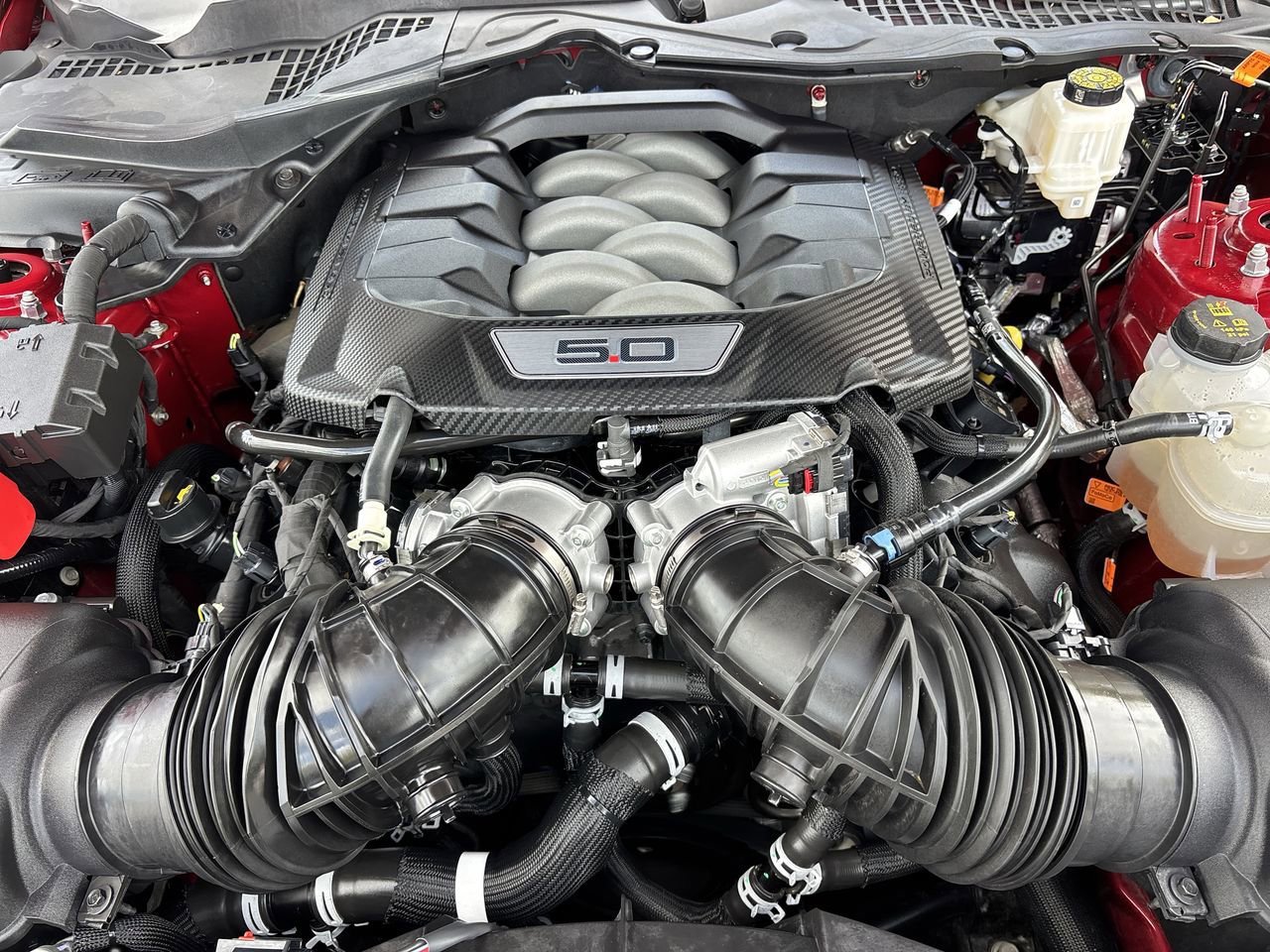 Certified 2024 Ford Mustang GT Premium RWD image 10