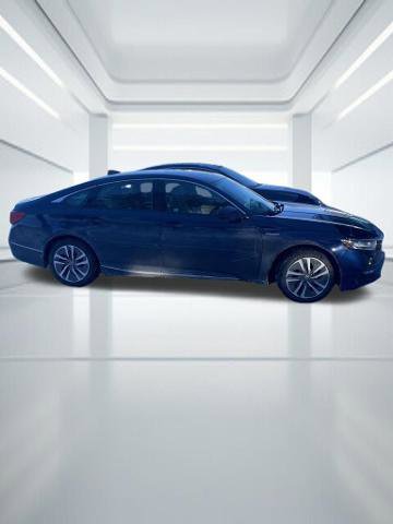 Used 2019 Honda Accord EX-L image 5