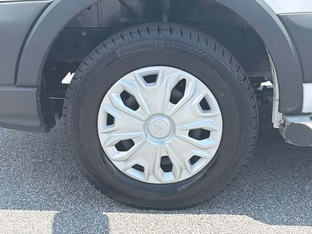 Certified 2025 Ford Transit 250 Low Roof w/ Exterior Upgrade Package RWD image 13