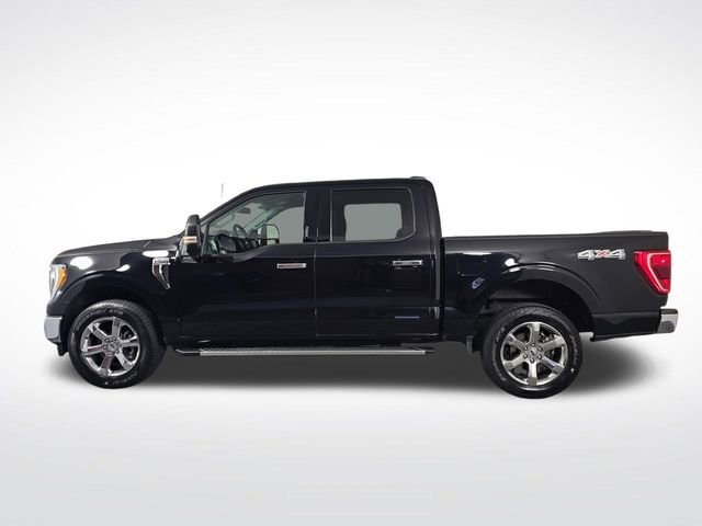 Certified 2021 Ford F150 XLT w/ Equipment Group 302A High image 4