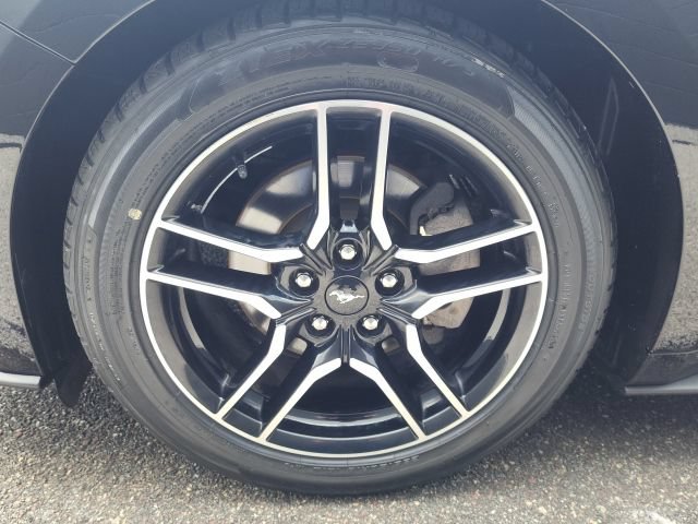 Certified 2019 Ford Mustang Premium RWD image 39