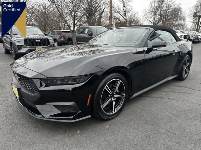 Certified 2025 Ford Mustang Premium video 1