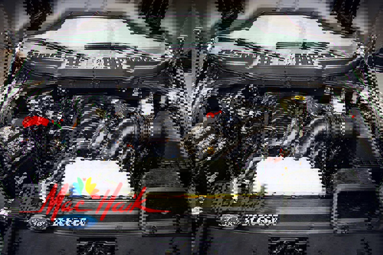 Certified 2024 Ford F150 XLT w/ Equipment Group 303A High image 54