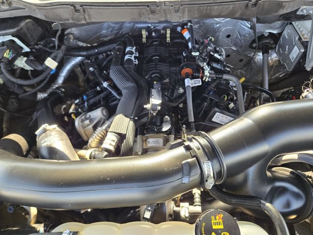 Certified 2025 Ford F150 XLT w/ Equipment Group 301A Standard RWD image 28