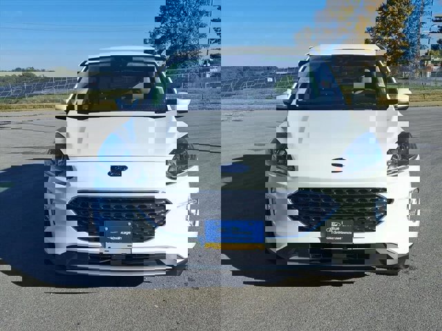 Certified 2022 Ford Escape SEL image 6