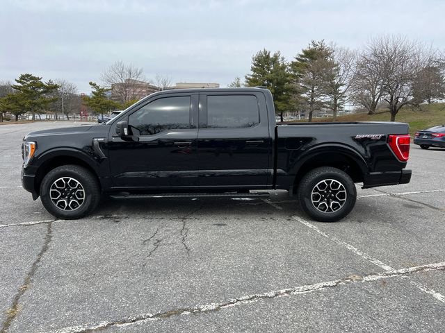 Certified 2023 Ford F150 XLT w/ Equipment Group 302A High image 3