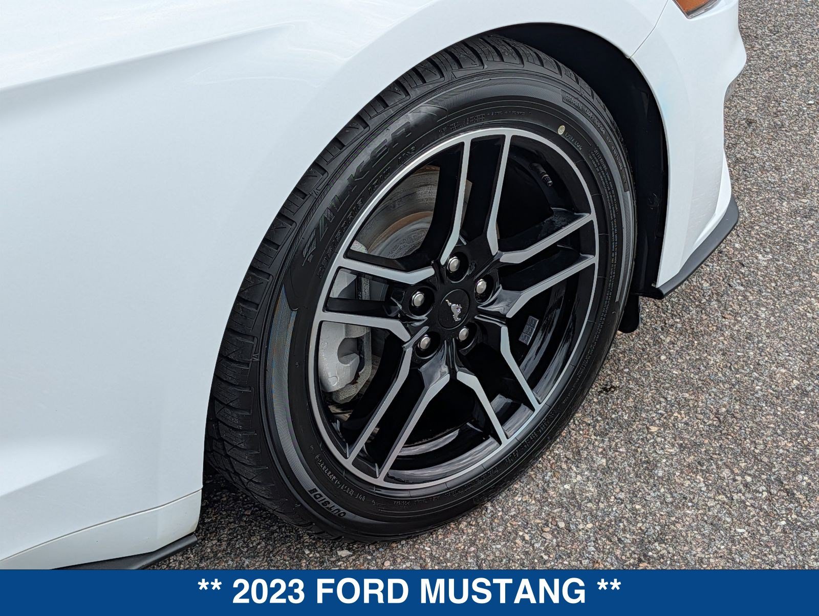 Certified 2023 Ford Mustang Premium RWD image 13