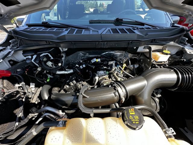 Certified 2024 Ford F150 STX w/ STX Black Appearance Package AWD/4WD image 32