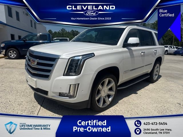 Used 2019 Cadillac Escalade Luxury AWD/4WD image 1