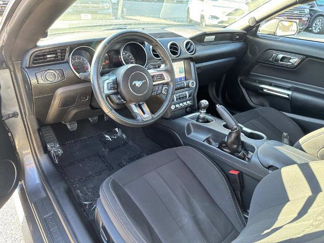 Certified 2021 Ford Mustang EcoBoost w/ Equipment Group 101A image 10