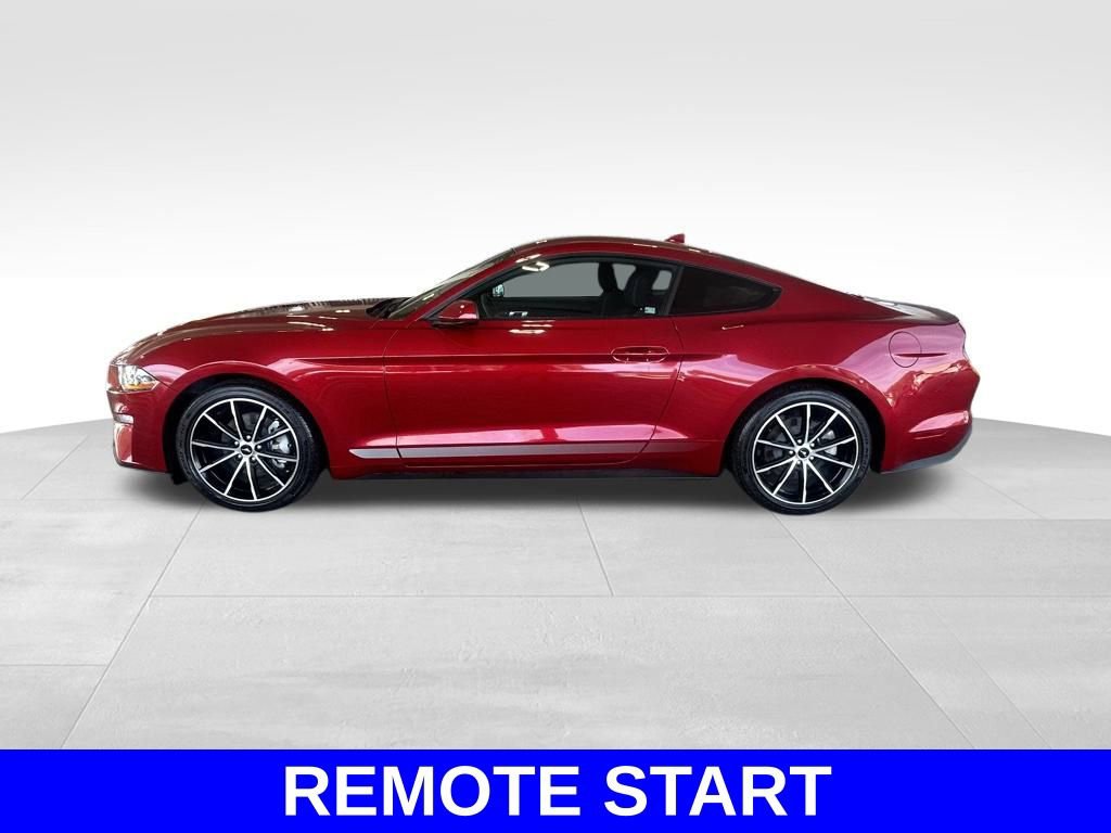 Certified 2023 Ford Mustang Coupe w/ Equipment Group 101A image 8