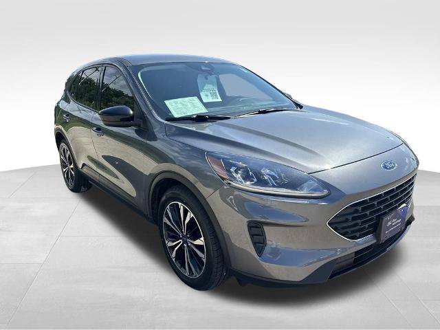 Certified 2022 Ford Escape SE w/ SE Sport Appearance Package FWD image 8