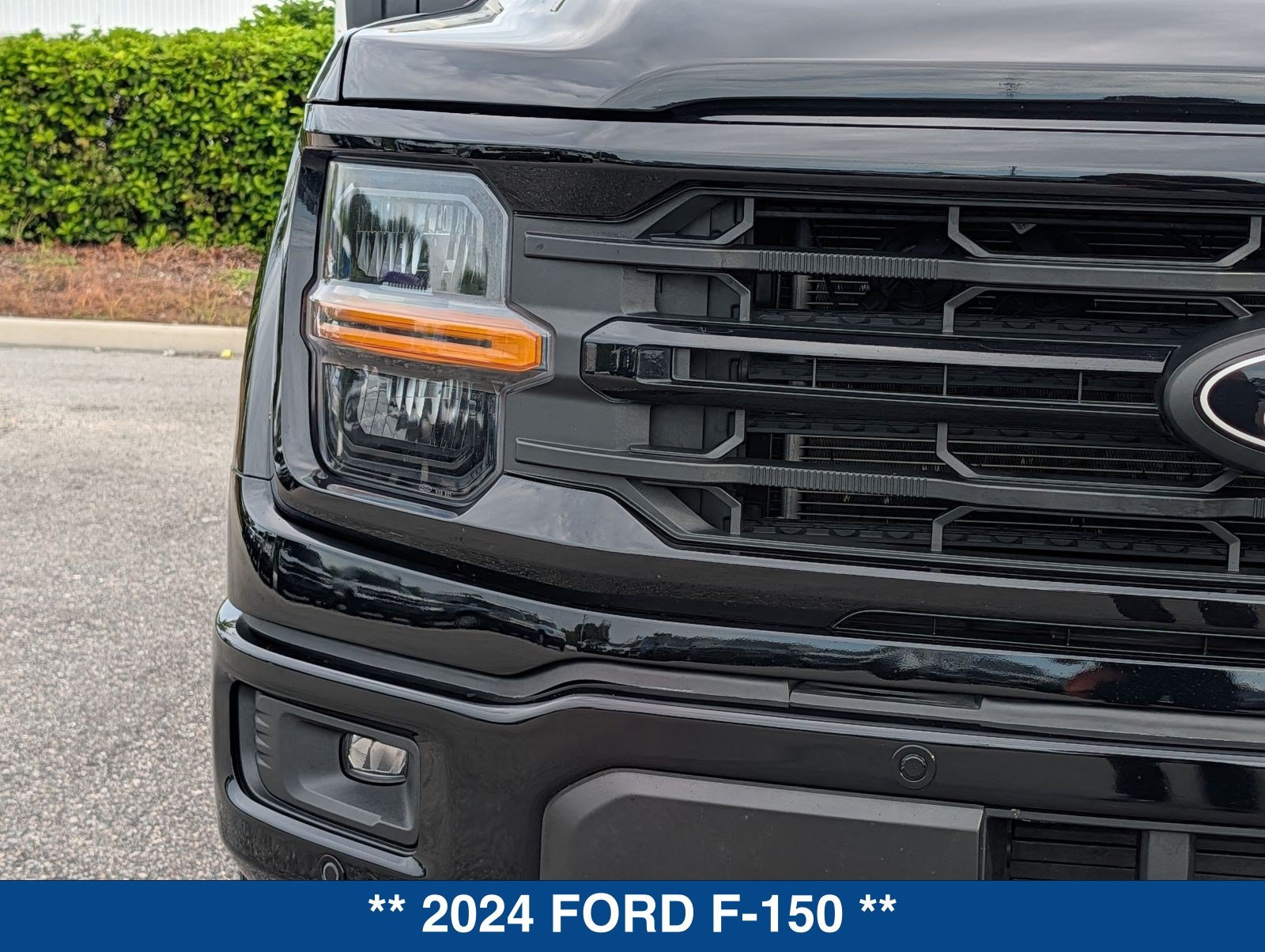 Certified 2024 Ford F150 XLT w/ Equipment Group 302A MID RWD image 10