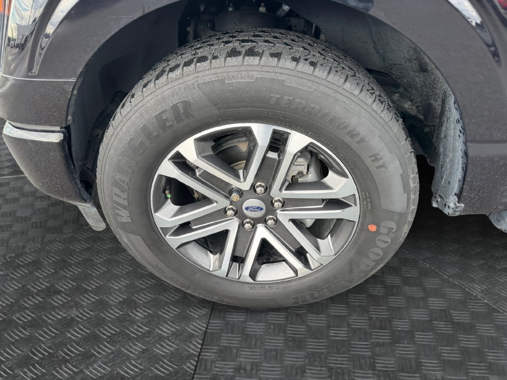 Certified 2023 Ford F150 XL w/ STX Appearance Package RWD image 15