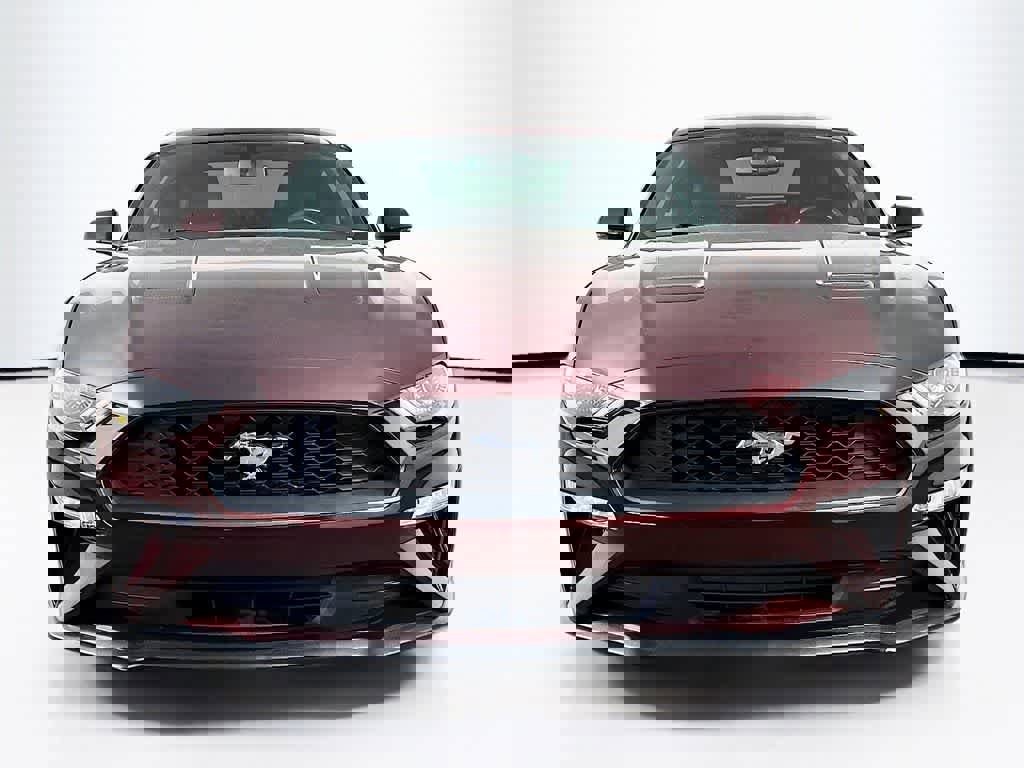 Certified 2018 Ford Mustang Premium w/ Enhanced Security Package image 6