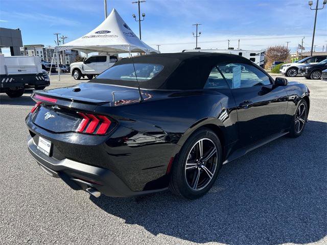 Certified 2024 Ford Mustang Premium image 4